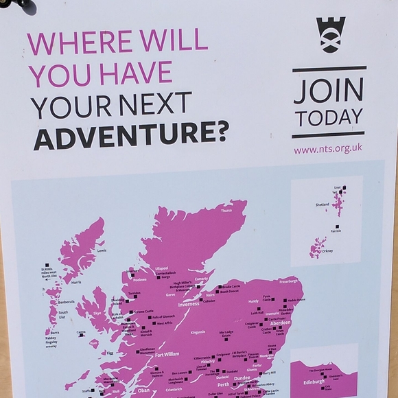 Meet your Posher, Meredith - Picture 1 of 1